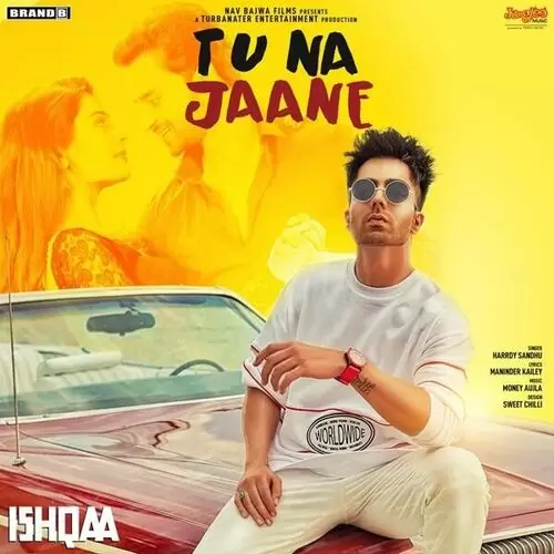 Tu Na Jaane (Ishqaa) Harrdy Sandhu Mp3 Download Song - Mr-Punjab