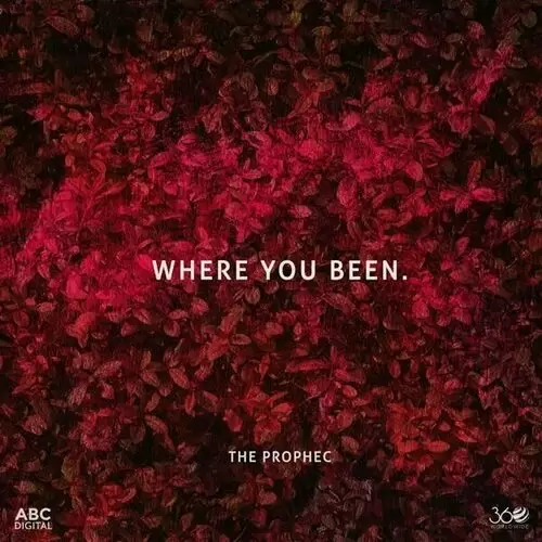 Where You Been The PropheC Mp3 Download Song - Mr-Punjab