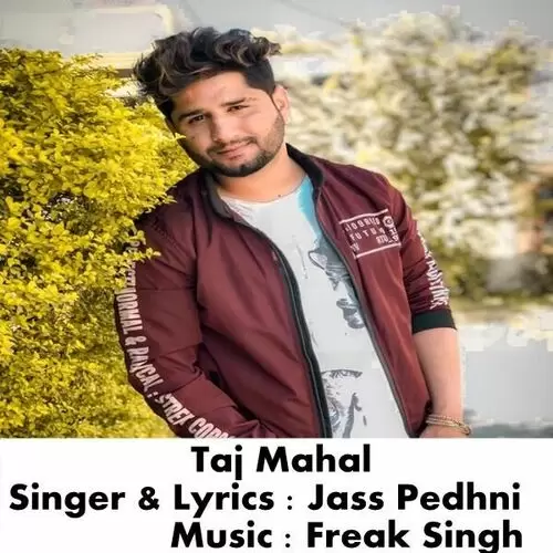 Taj Mahal Jass Pedhni Mp3 Download Song - Mr-Punjab