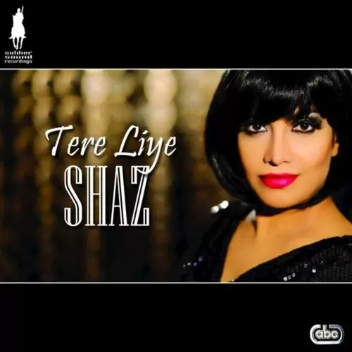 Tere Liye Shaz Mp3 Download Song - Mr-Punjab