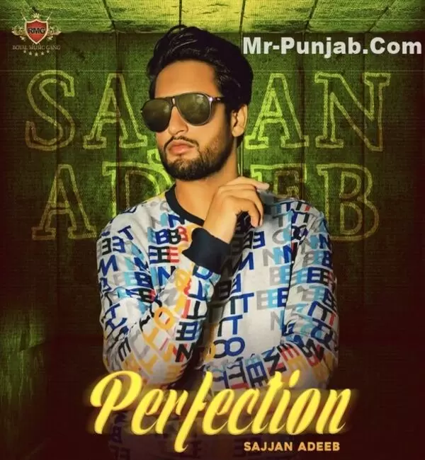 Perfection Sajjan Adeeb Mp3 Download Song - Mr-Punjab