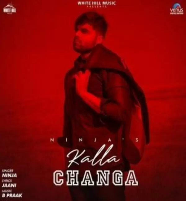 Kalla Changa Ninja Mp3 Download Song - Mr-Punjab