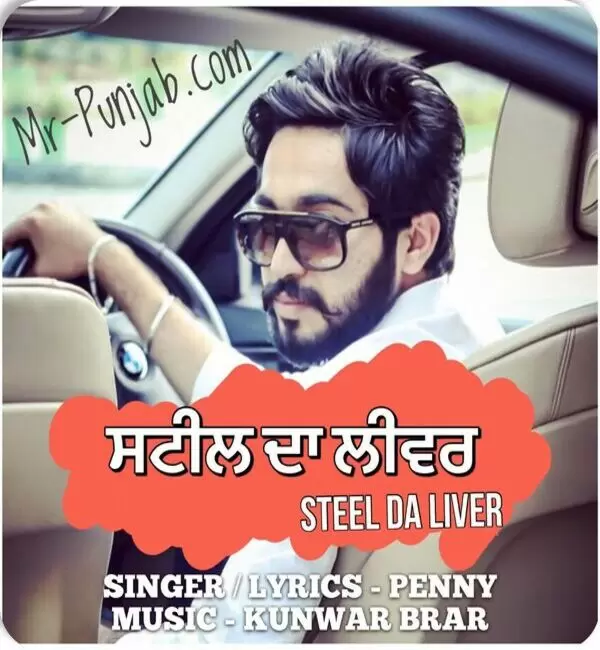 Steel da liver Penny Preet Mp3 Download Song - Mr-Punjab