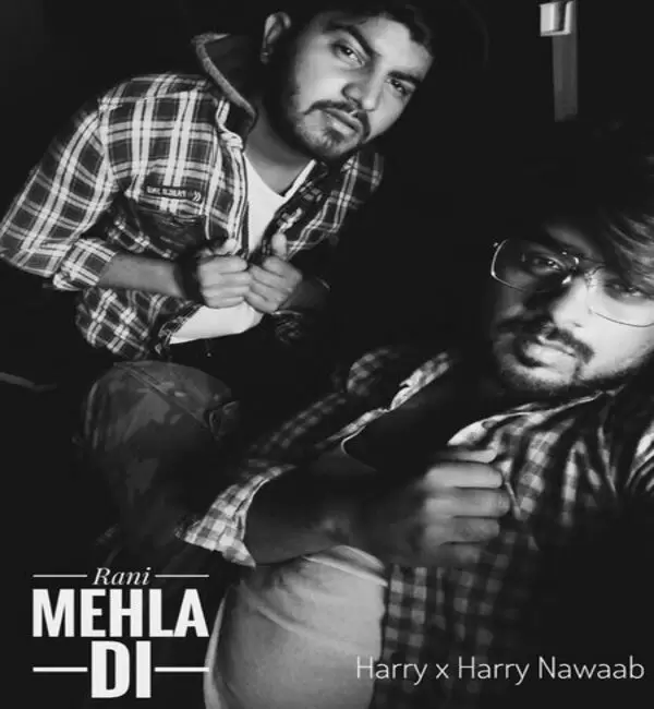 Rani Mehla Di  Harry Salhan  Mp3 Download Song - Mr-Punjab