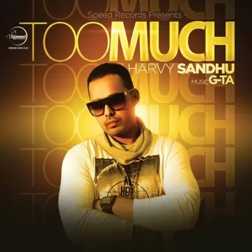 Too Much Harvy Sandhu Mp3 Download Song - Mr-Punjab