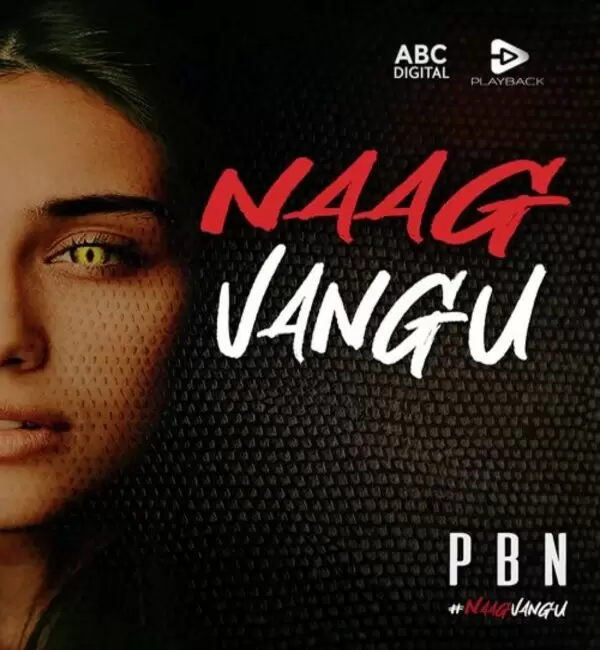 Naag Vangu PBN Mp3 Download Song - Mr-Punjab