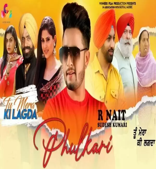 Phulkari (Tu Mera Ki Lagda) R Nait Mp3 Download Song - Mr-Punjab