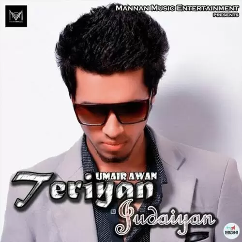 Teriyan Judaiyan Umair Awan Mp3 Download Song - Mr-Punjab