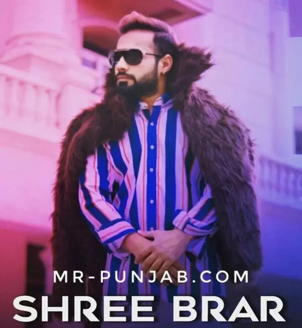 Sherni Banke Shree Brar Mp3 Download Song - Mr-Punjab