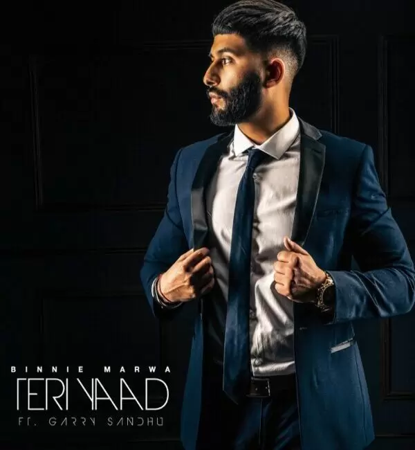 Teri Yaad Binnie Marwa Mp3 Download Song - Mr-Punjab