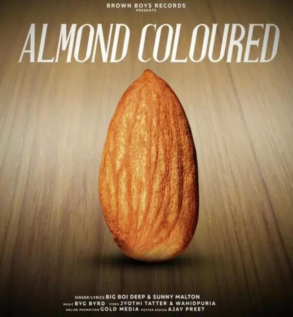 Almond Coloured Big Boi Deep Mp3 Download Song - Mr-Punjab