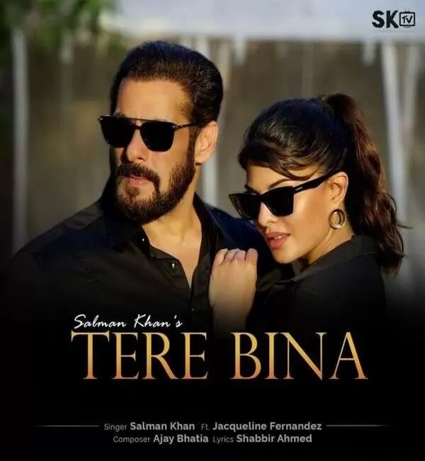 Tere Bina Salman Khan Mp3 Download Song - Mr-Punjab