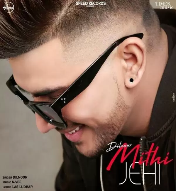 Mithi Jehi Dilnoor Mp3 Download Song - Mr-Punjab