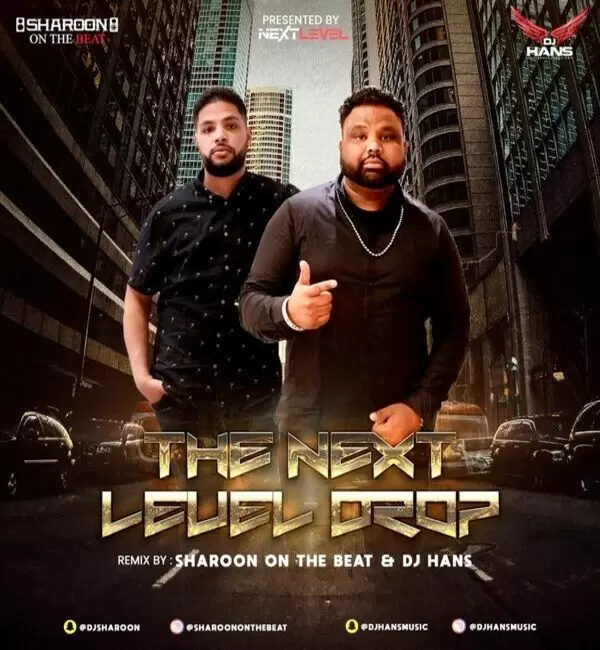 The Next Level Drop - Mashup Dj Hans Mp3 Download Song - Mr-Punjab