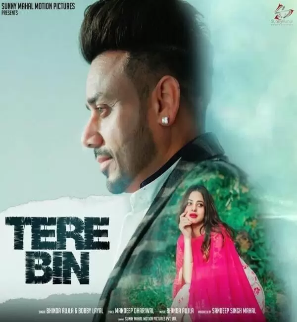 Tere Bin Bhinda Aujla Mp3 Download Song - Mr-Punjab