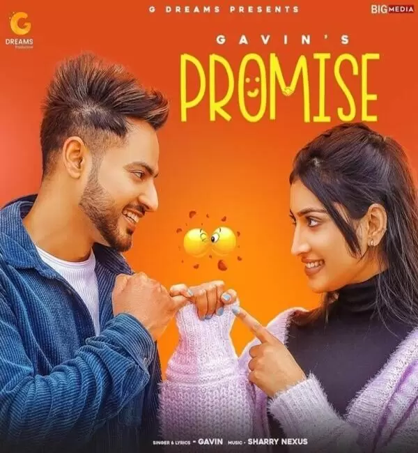 Promise Gavin Mp3 Download Song - Mr-Punjab