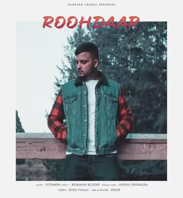 Roohdaar Nseeb Mp3 Download Song - Mr-Punjab