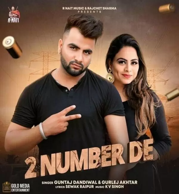 2 Number De Gurlez Akhtar Mp3 Download Song - Mr-Punjab