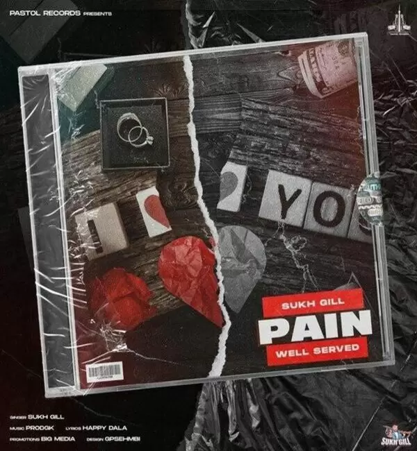 Pain Sukh Gill Mp3 Download Song - Mr-Punjab