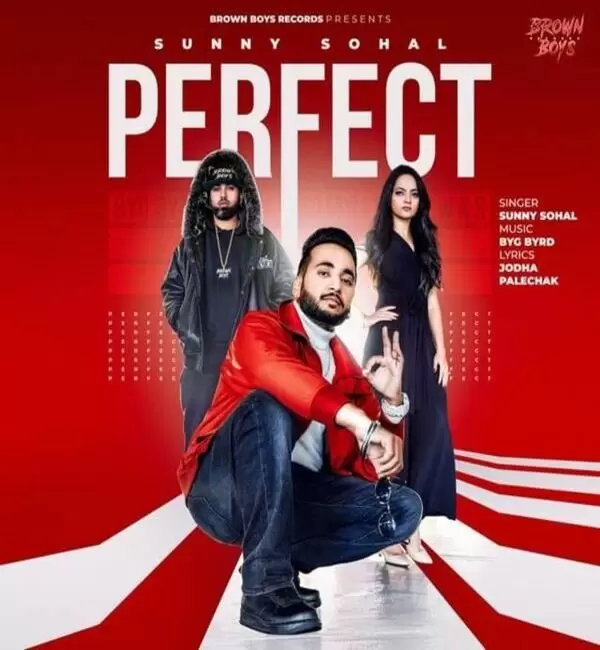 Perfect Sunny Sohal Mp3 Download Song - Mr-Punjab