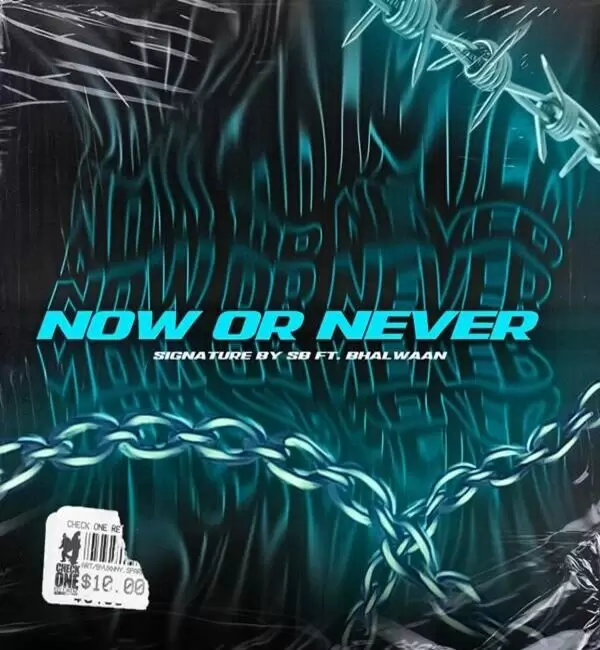 Now Or Never Songs