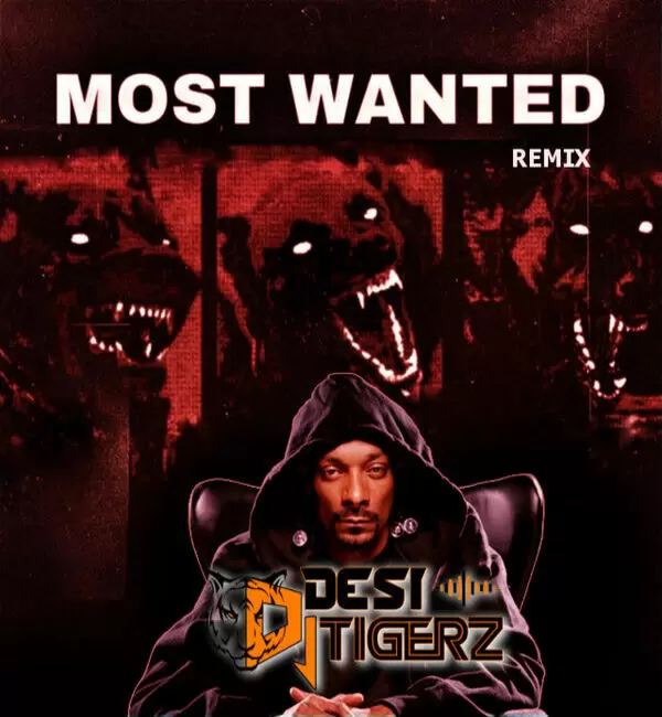 Most Wanted Ft. Snoop Dogg Dj Desi Tigerz Mp3 Download Song - Mr-Punjab