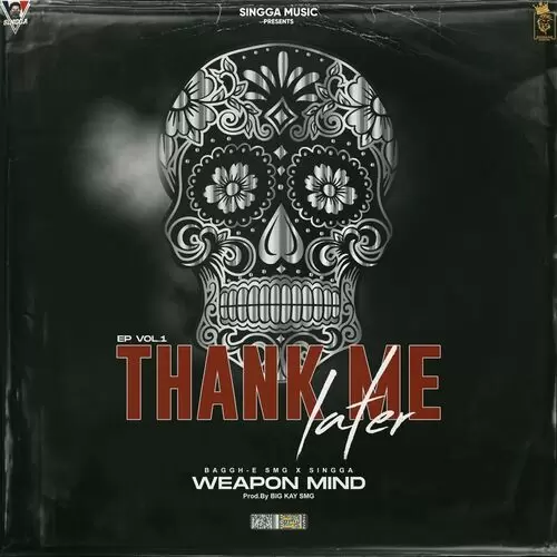 Weapon Mind Singga Mp3 Download Song - Mr-Punjab