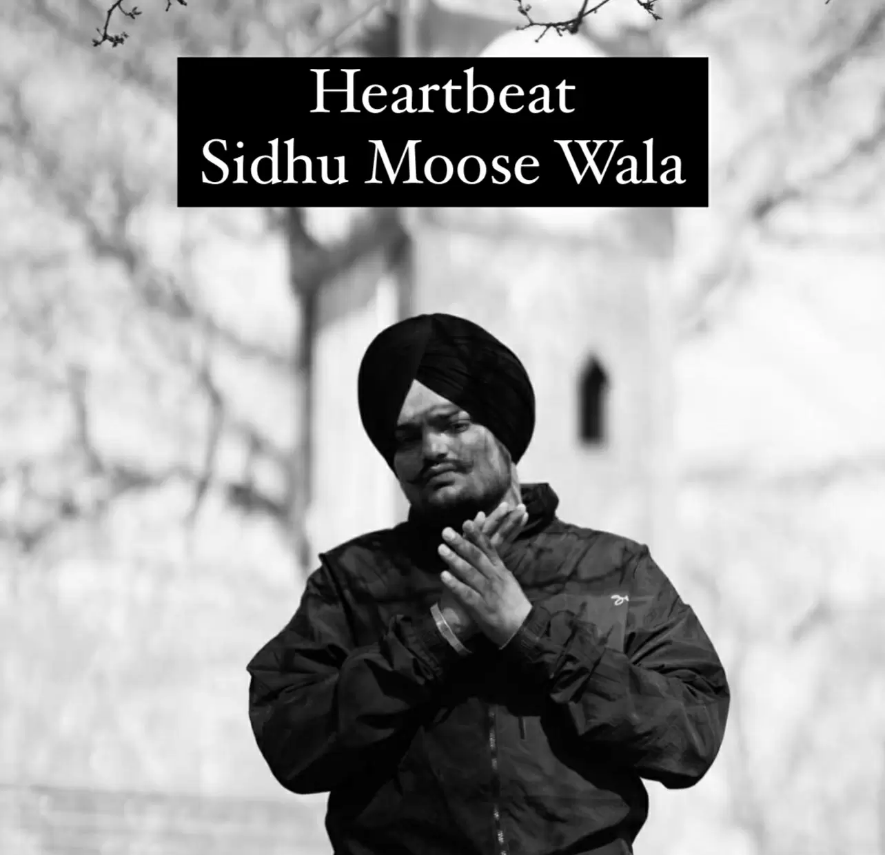 Heartbeat Sidhu Moose Wala Mp3 Download Song - Mr-Punjab