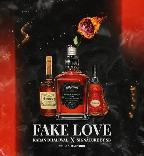 Fake Love Karan Dhaliwal Mp3 Download Song - Mr-Punjab