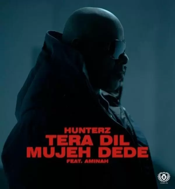 Tera Dil Mujeh Dede Hunterz Mp3 Download Song - Mr-Punjab