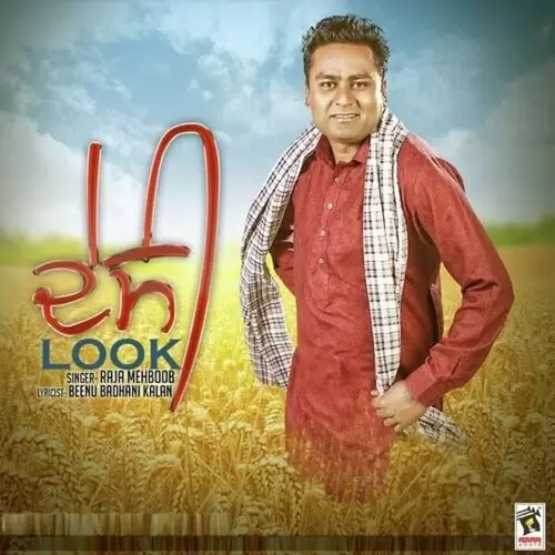Desi Look Raja Mehboob Mp3 Download Song - Mr-Punjab