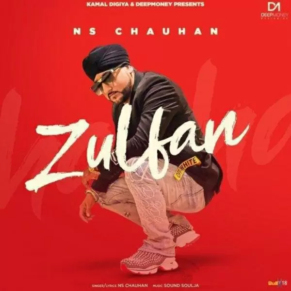 Zulfan NS Chauhan Mp3 Download Song - Mr-Punjab