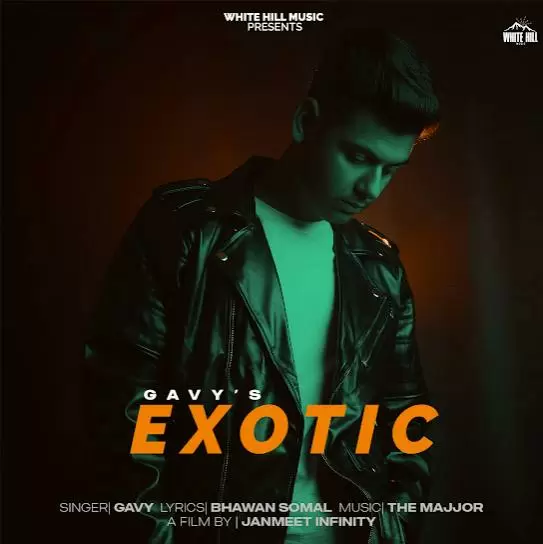 Exotic Gavy Mp3 Download Song - Mr-Punjab