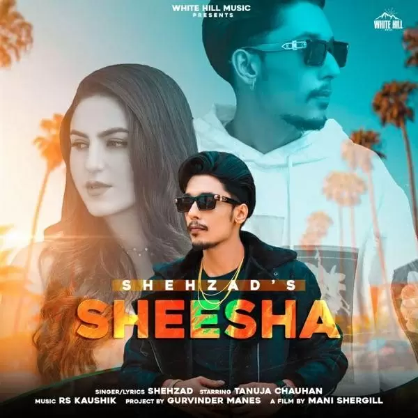Sheesha Shehzad Mp3 Download Song - Mr-Punjab