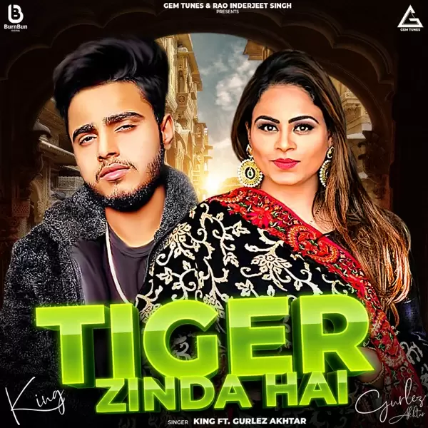 Tiger Zinda Hai King Mp3 Download Song - Mr-Punjab