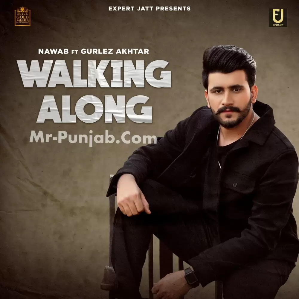 Walking Along Nawab Mp3 Download Song - Mr-Punjab