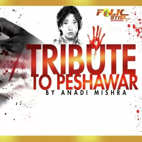 A Tribute To Peshawar Anadi Mishra Mp3 Download Song - Mr-Punjab