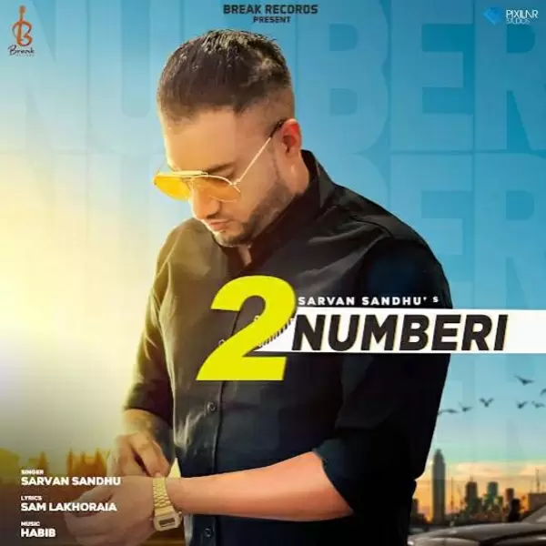 2 Numberi Sarvan Sandhu Mp3 Download Song - Mr-Punjab