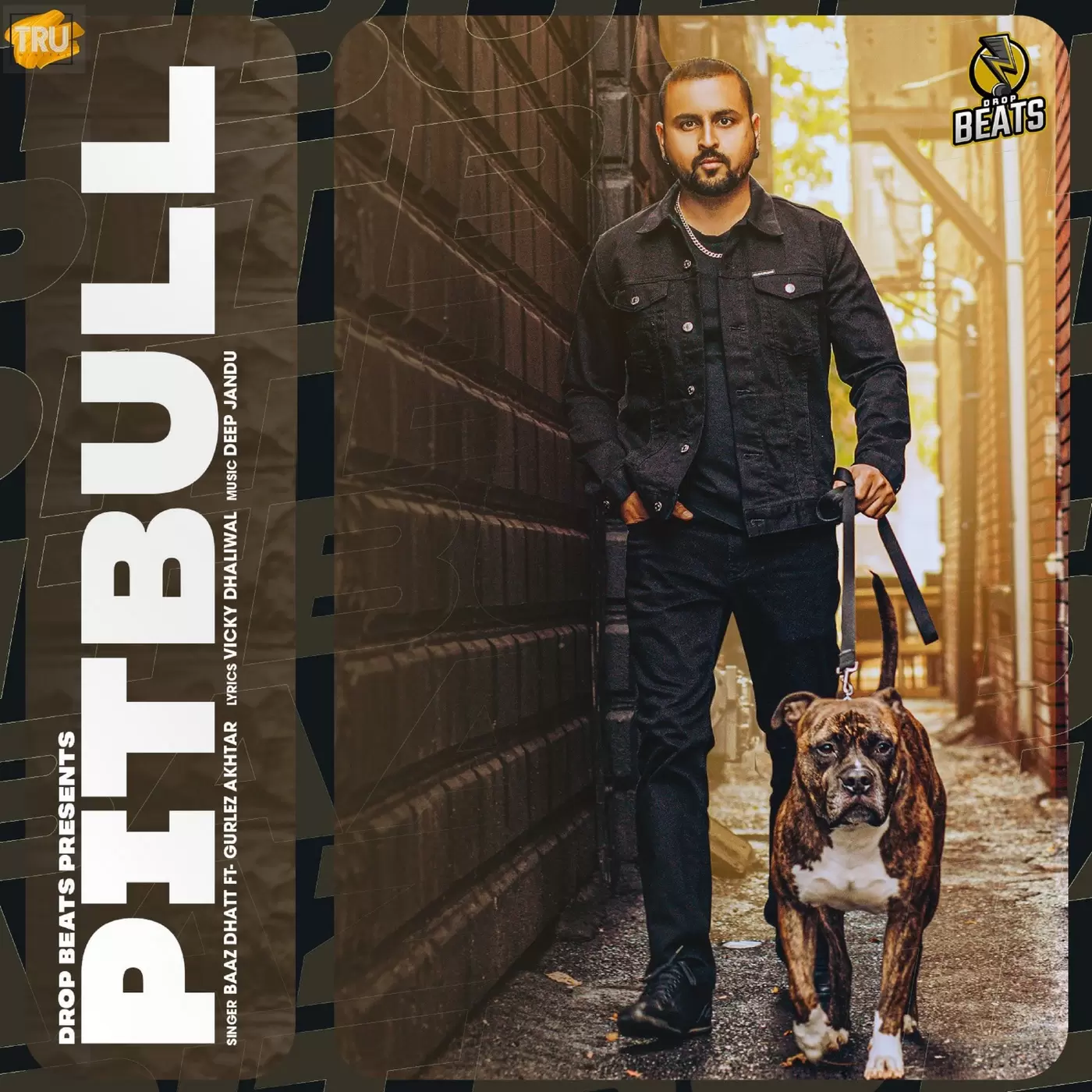 Pitbull Baaz Dhatt Mp3 Download Song - Mr-Punjab