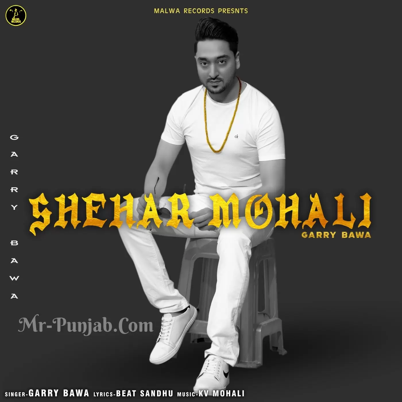 Shehar Mohali Garry Bawa Mp3 Download Song - Mr-Punjab
