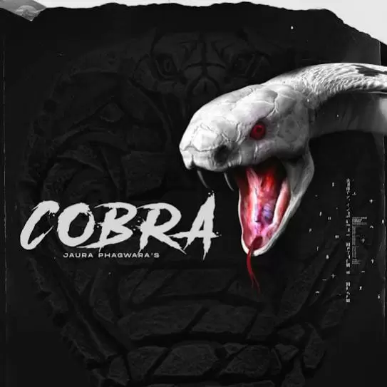 Cobra Jaura Phagwara Mp3 Download Song - Mr-Punjab