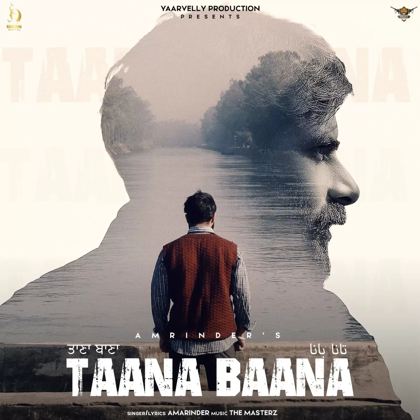 Taana Baana Amarinder Mp3 Download Song - Mr-Punjab