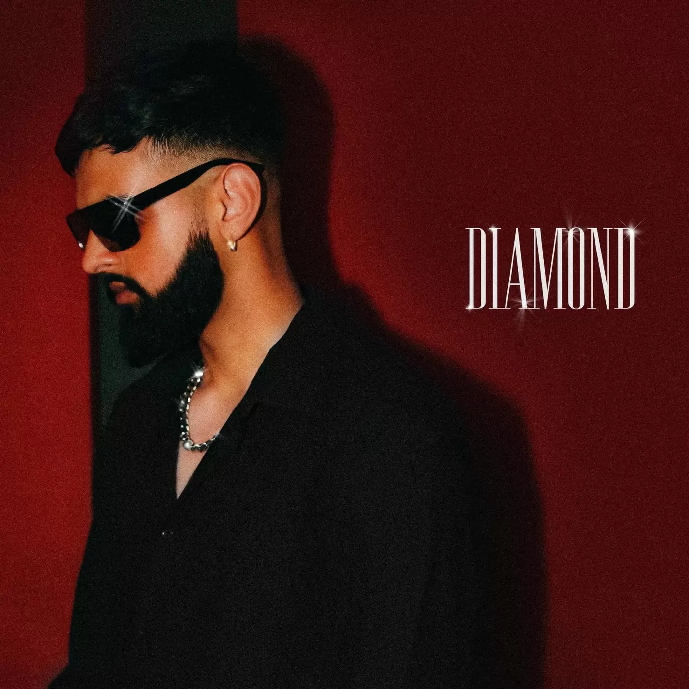 Diamond Ricki Dhindsa Mp3 Download Song - Mr-Punjab