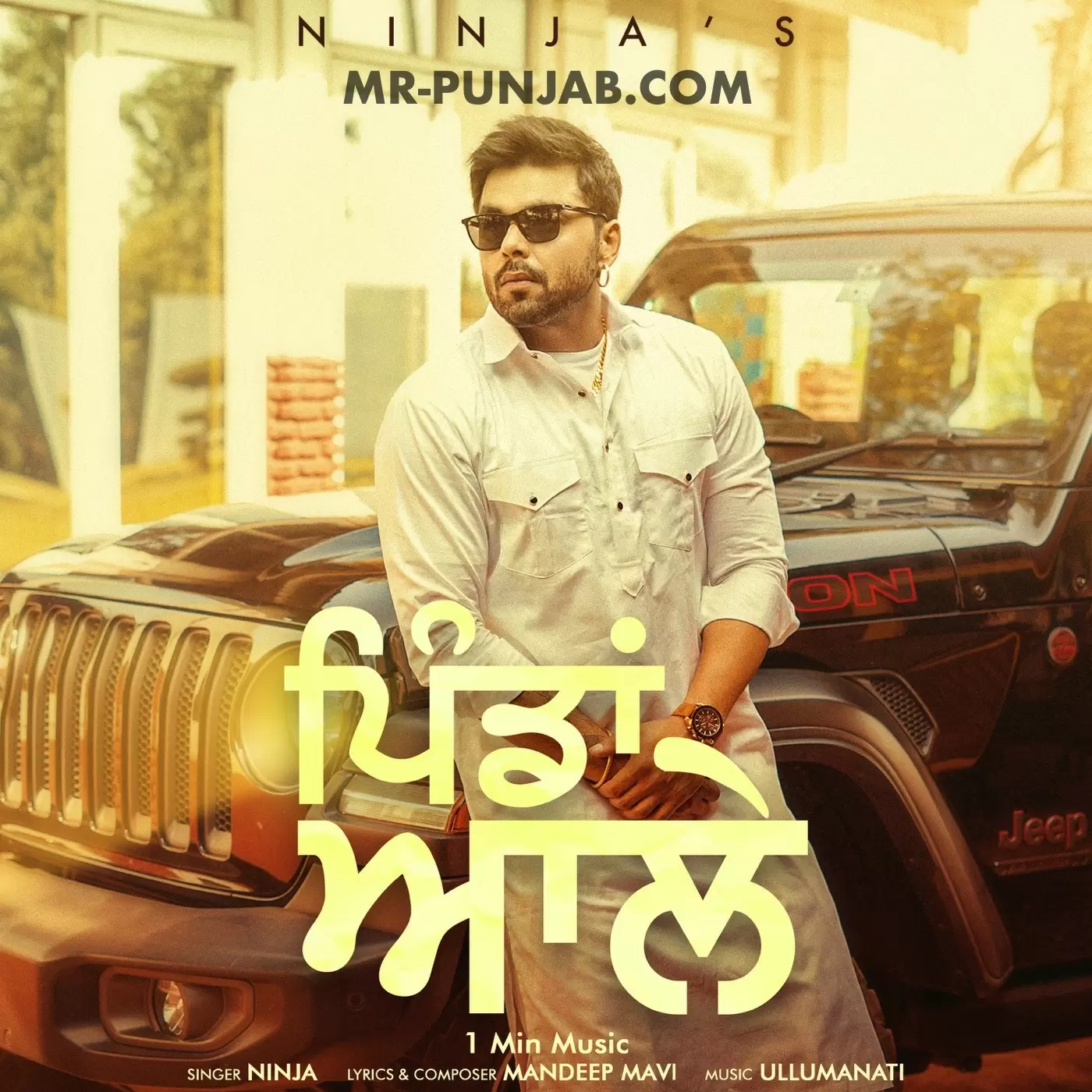 Pindan Ale (1 Min Music) Ninja Mp3 Download Song - Mr-Punjab