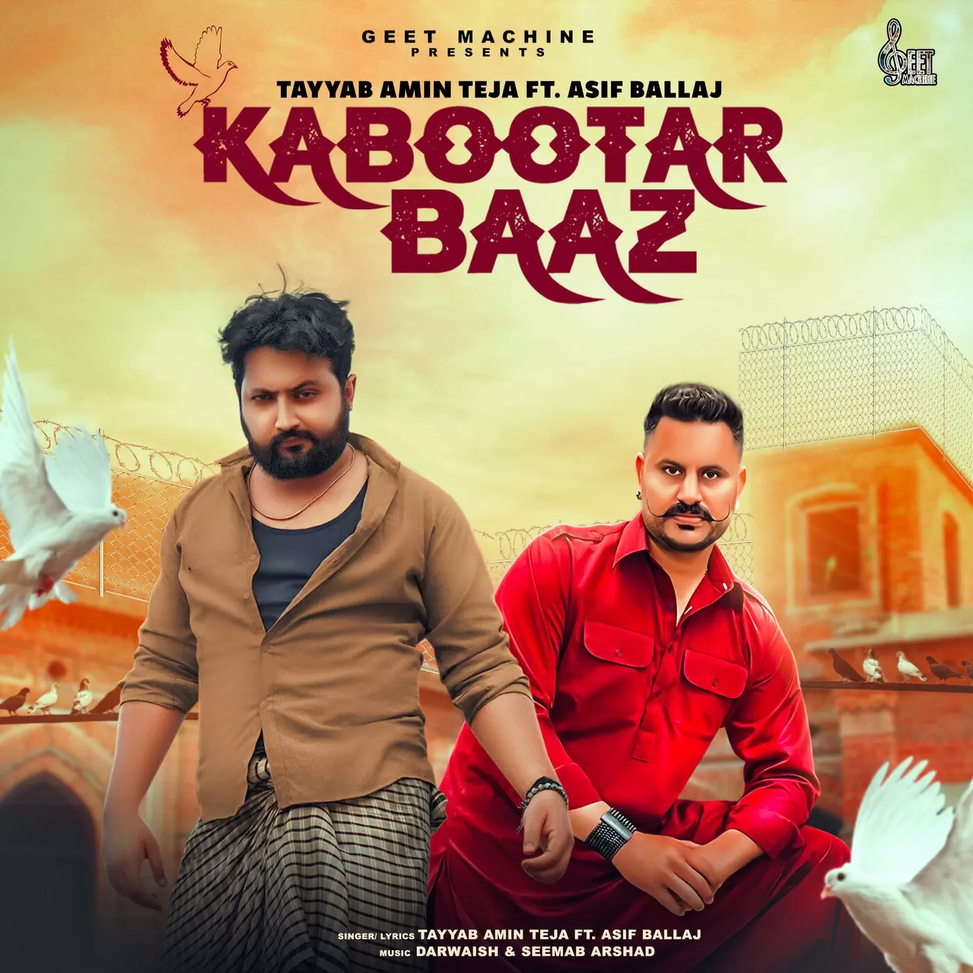 Kabootar Baaz Tayyab Amin Teja Mp3 Download Song - Mr-Punjab