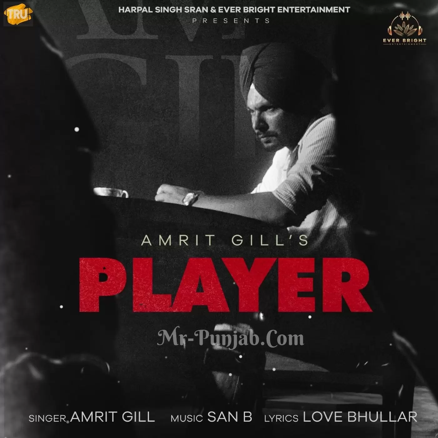 Player Amrit Gill Mp3 Download Song - Mr-Punjab