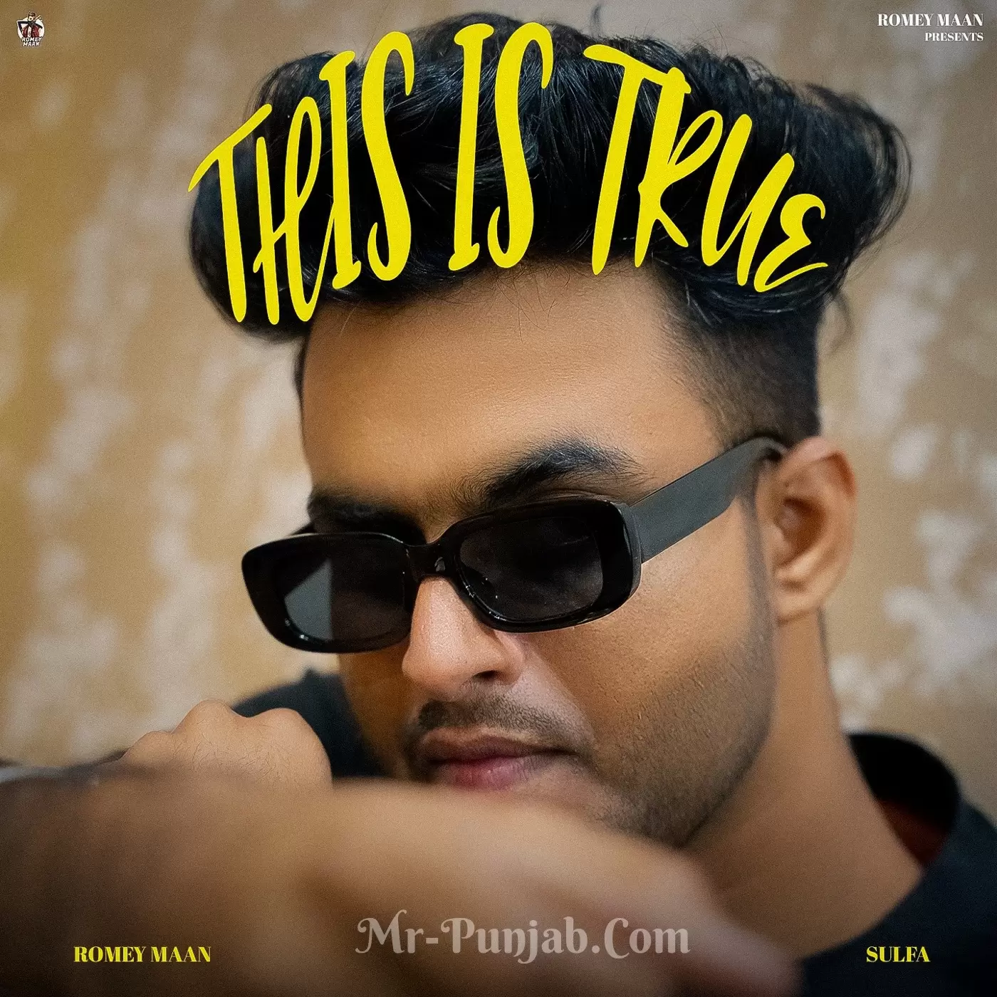 This Is True Romey Maan Mp3 Download Song - Mr-Punjab