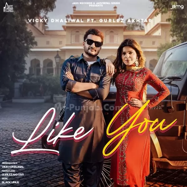 Like You Vicky Dhaliwal Mp3 Download Song - Mr-Punjab