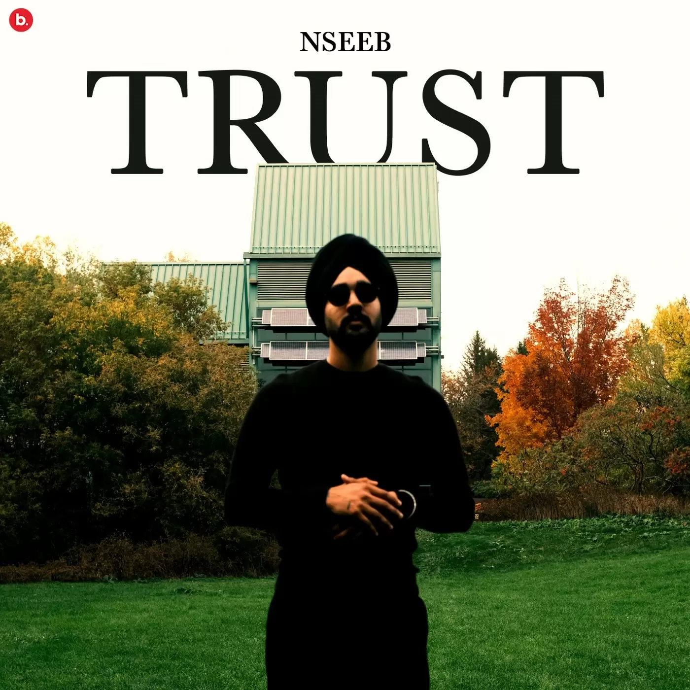 Trust Nseeb Mp3 Download Song - Mr-Punjab
