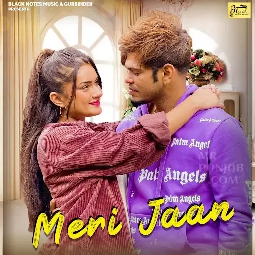 Meri Jaan Sucha Yaar Mp3 Download Song - Mr-Punjab